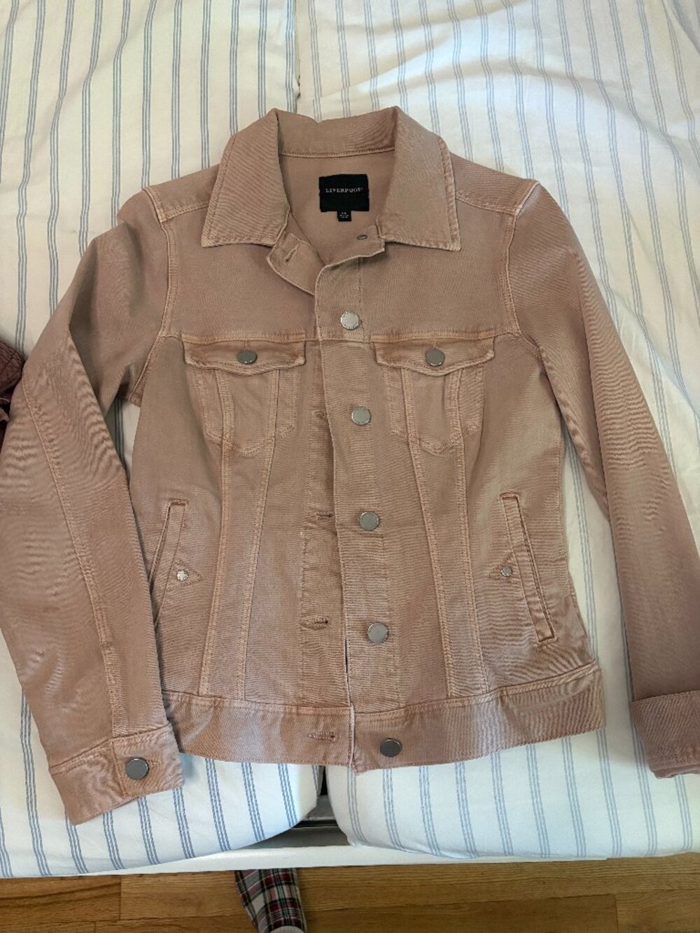 Blush Denim Jacket XS